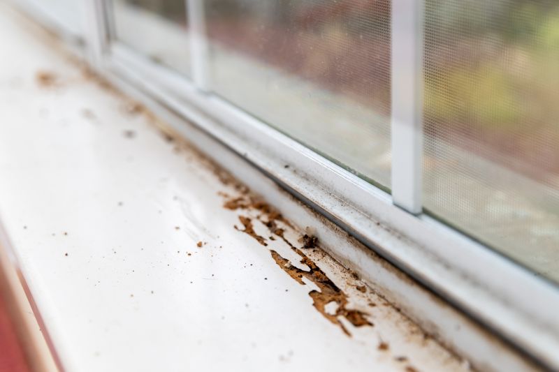 Window Sill Repair detail